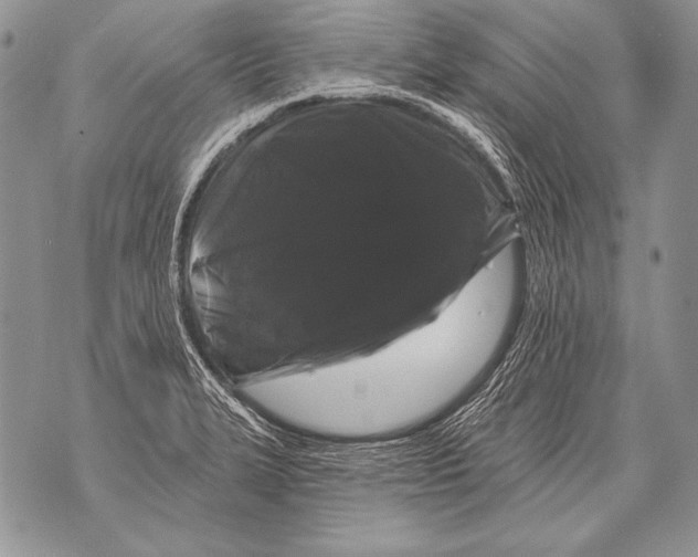 X0000071851327200607290123