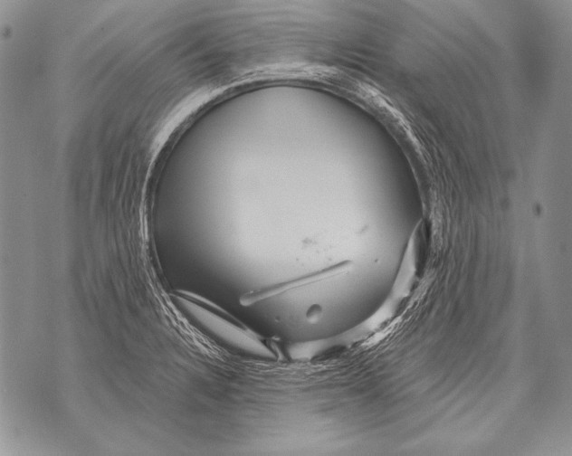 X0000071851328200607290123