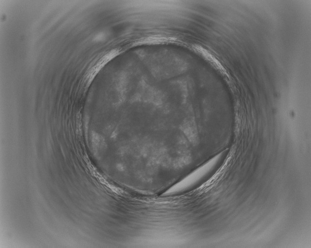 X0000071851329200607290123