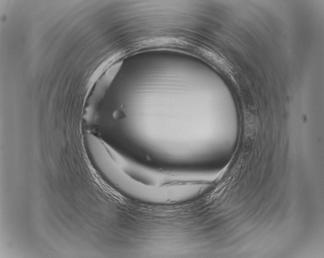 X0000071851330200607290123