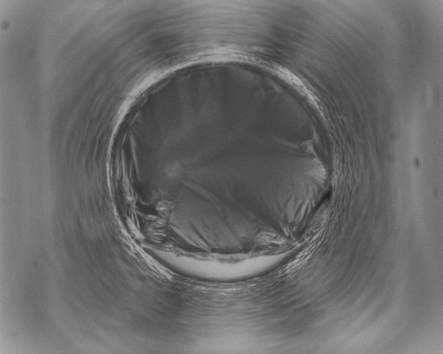 X0000071851334200607290123