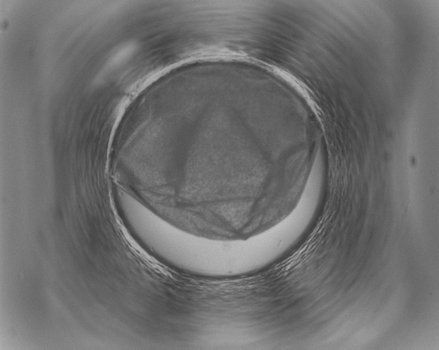 X0000071851335200607290123