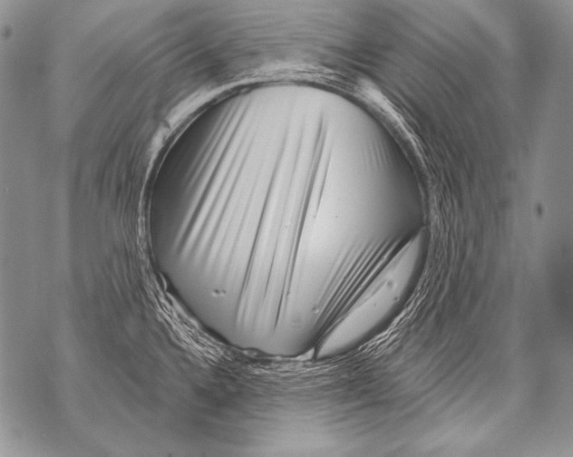 X0000071851336200607290123