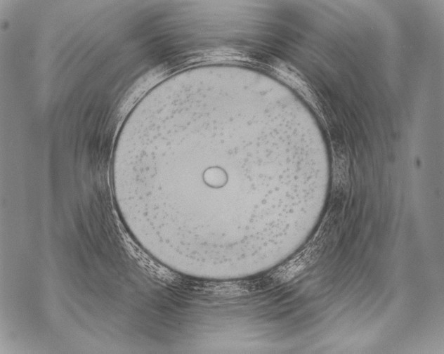 X0000071851338200607290123