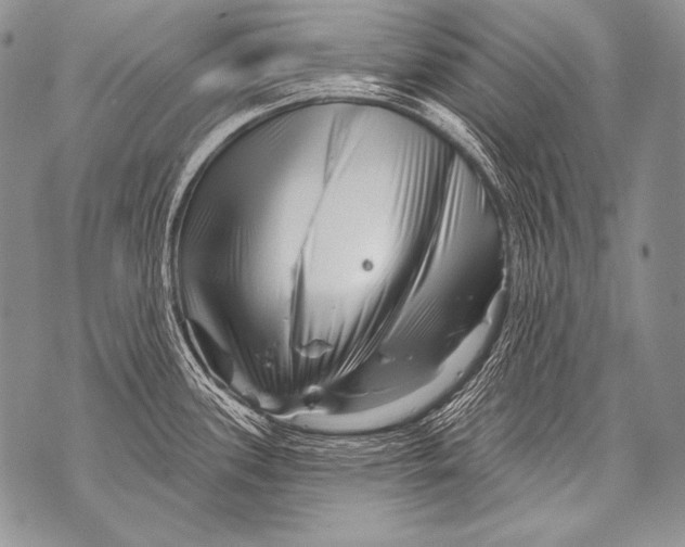 X0000071851339200607290123