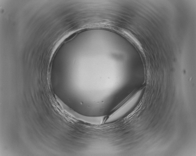 X0000071851340200607290123