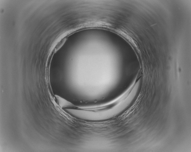 X0000071851342200607290123