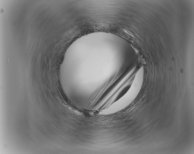 X0000071851345200607290122