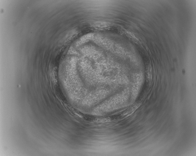 X0000071851346200607290122