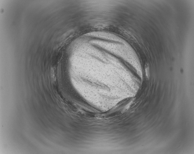 X0000071851347200607290122