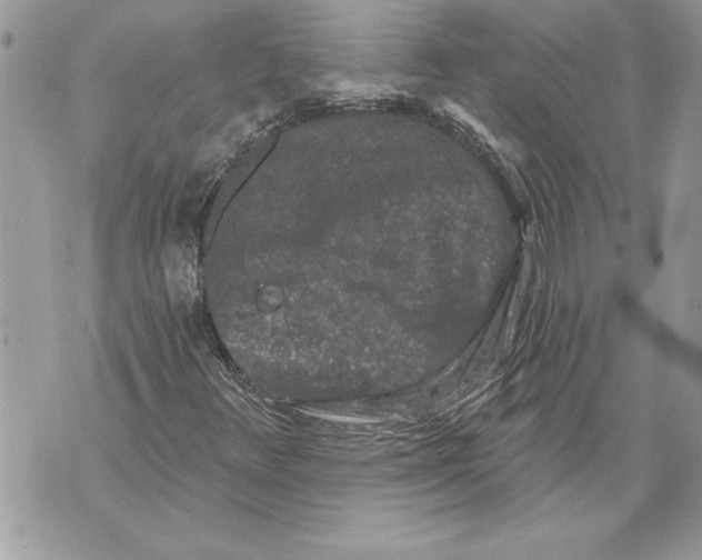 X0000071851348200607290122