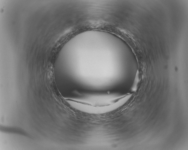 X0000071851349200607290122