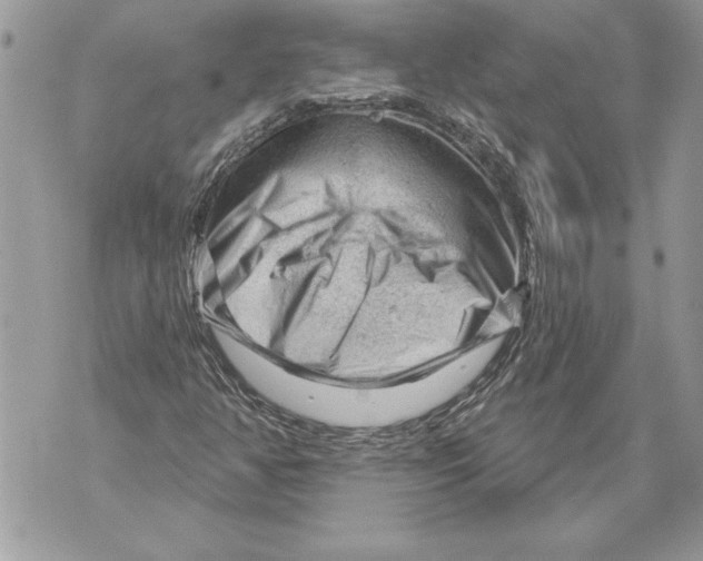 X0000071851350200607290122