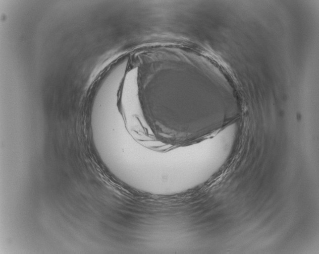 X0000071851352200607290122