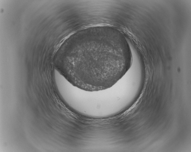 X0000071851353200607290122