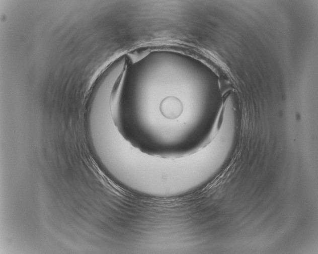 X0000071851356200607290122