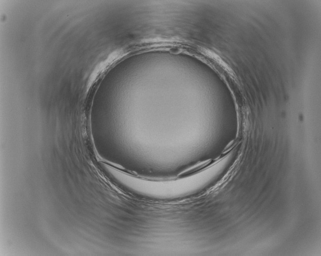 X0000071851357200607290122