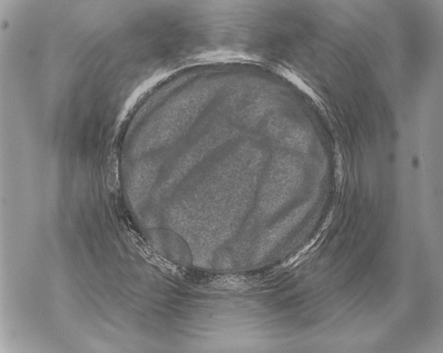 X0000071851358200607290122