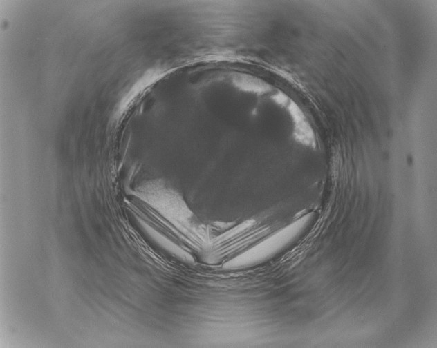 X0000071851359200607290122