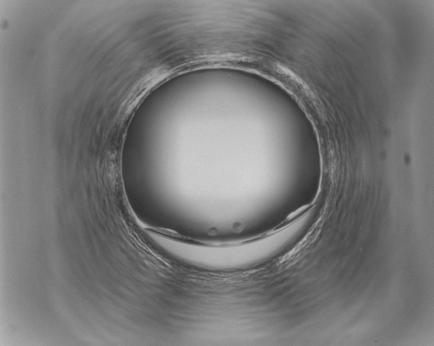 X0000071851361200607290122