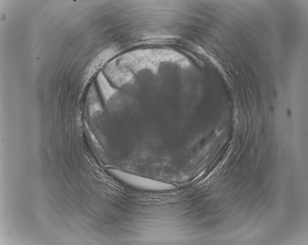 X0000071851362200607290122