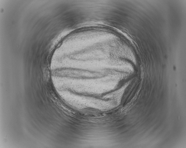 X0000071851363200607290122