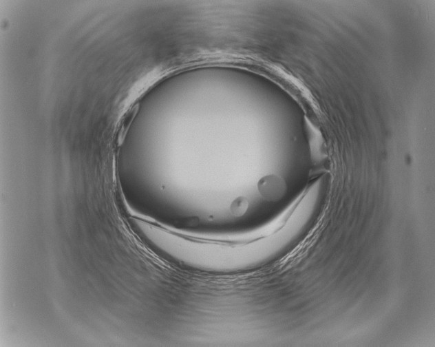 X0000071851365200607290122