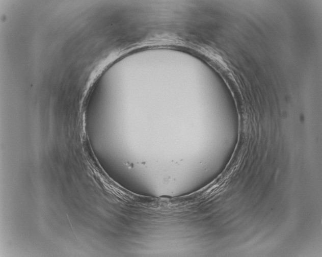 X0000071851366200607290122