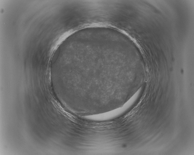 X0000071851367200607290122