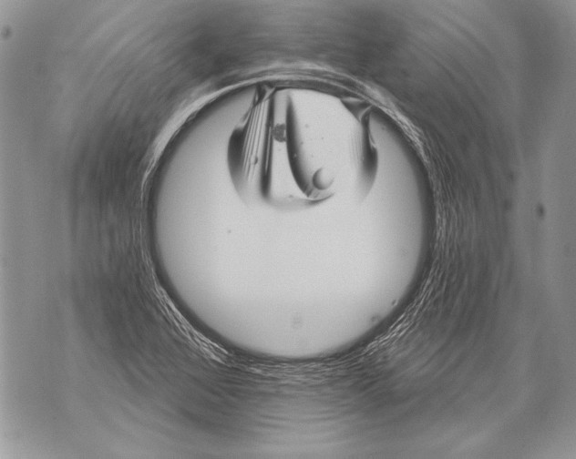 X0000071851368200607290122