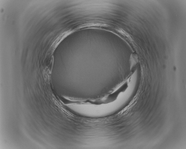 X0000071851369200607290122