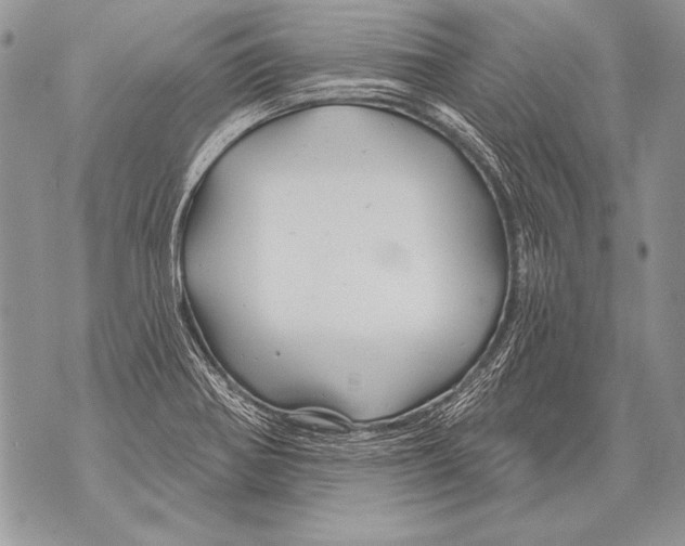 X0000071851370200607290122