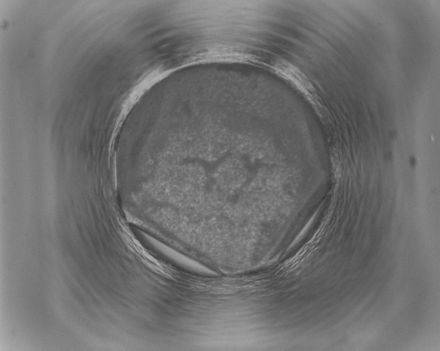 X0000071851371200607290122