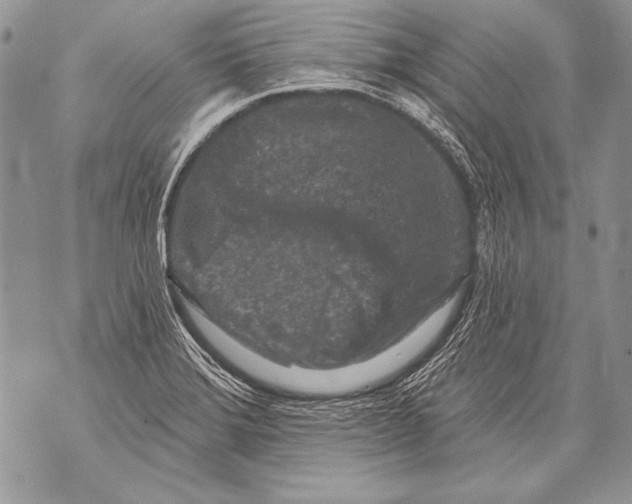 X0000071851372200607290122