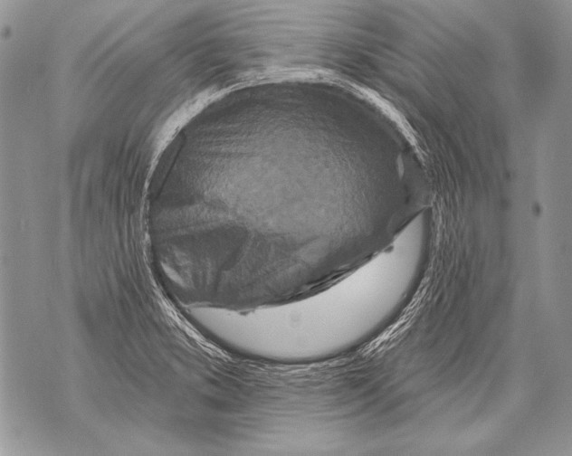 X0000071851373200607290122