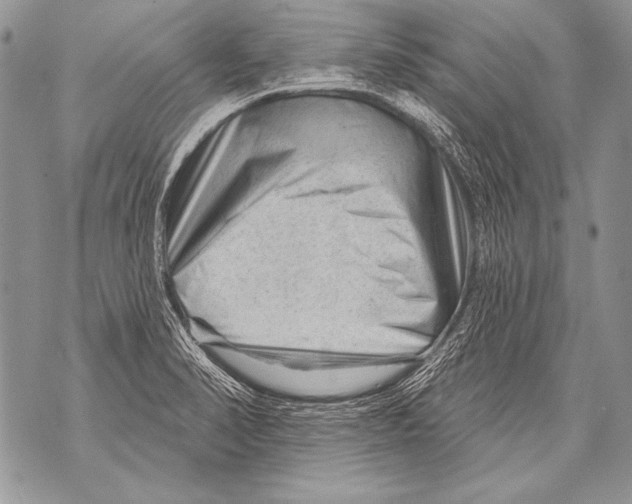 X0000071851374200607290122