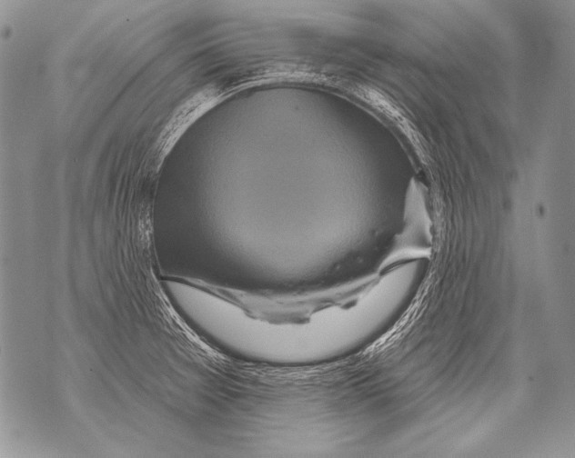 X0000071851377200607290122