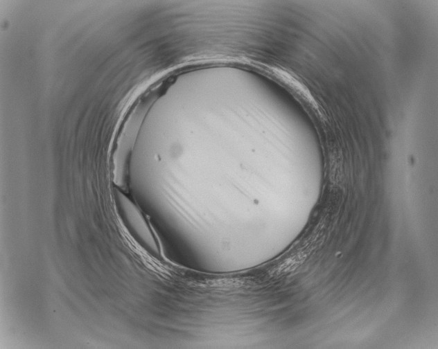 X0000071851380200607290122