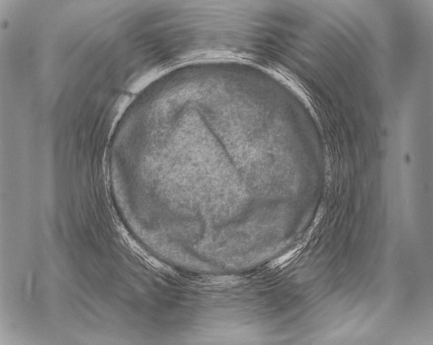 X0000071851382200607290122