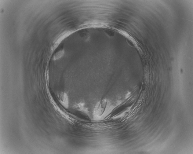 X0000071851383200607290122