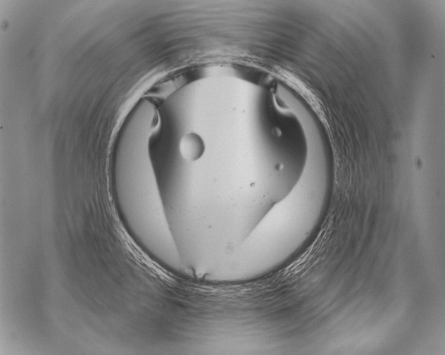 X0000071851384200607290122