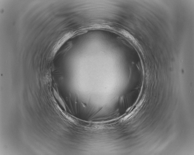 X0000071851385200607290122