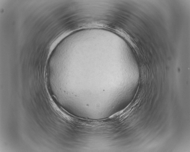 X0000071851387200607290121