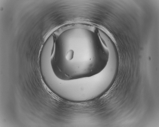 X0000071851388200607290121