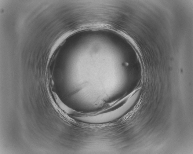 X0000071851389200607290121