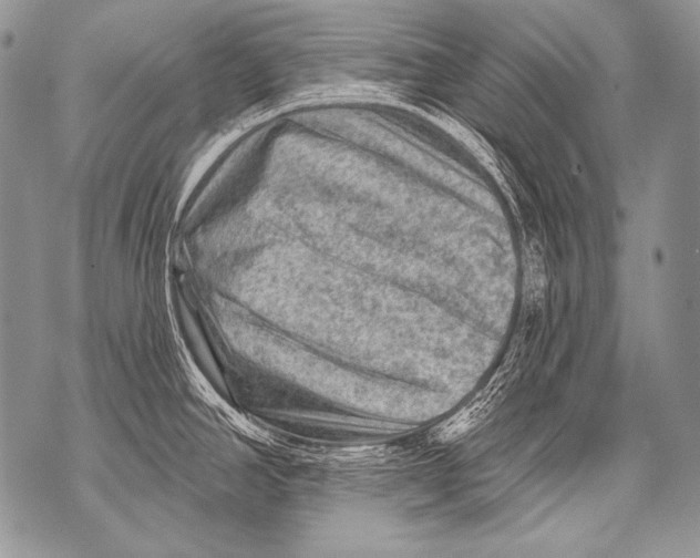 X0000071851390200607290121