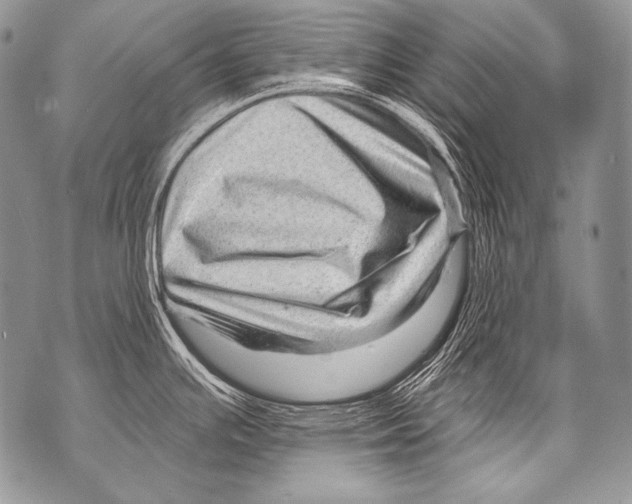 X0000071851391200607290121