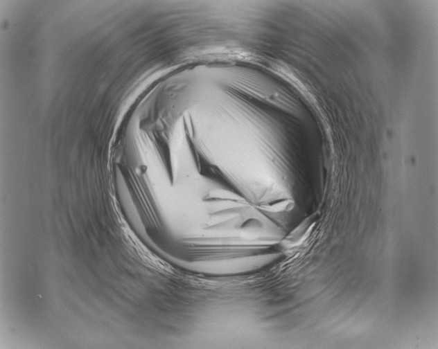 X0000071851392200607290121