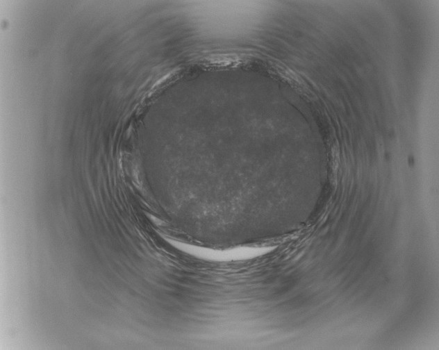 X0000071851394200607290121