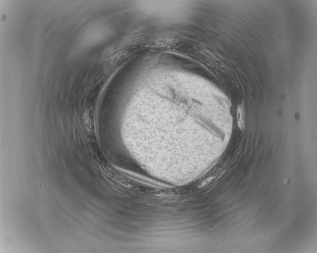 X0000071851395200607290121